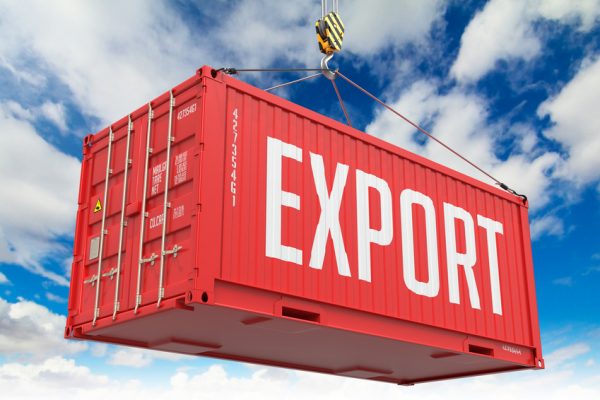 Export - motionew - 4