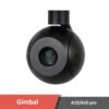 Gimbal zoom camera