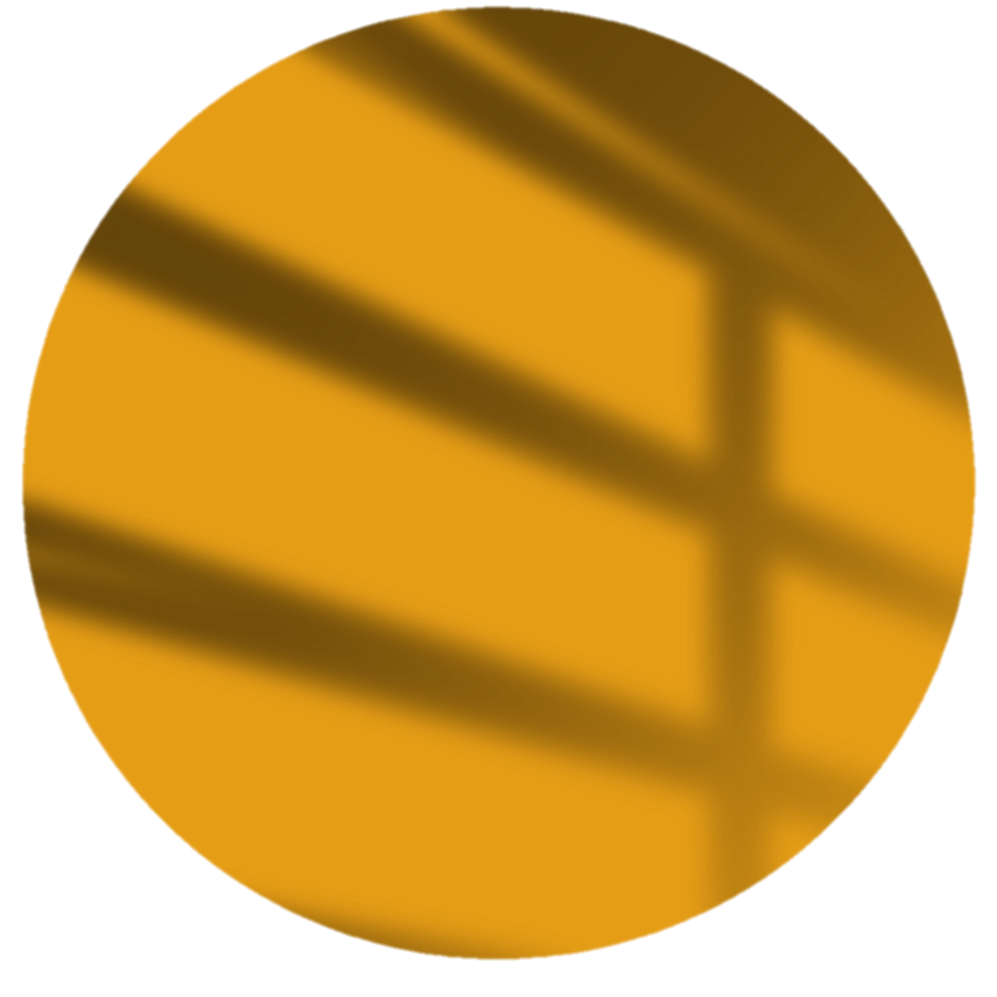 yellow 2 - MotioNew - 5