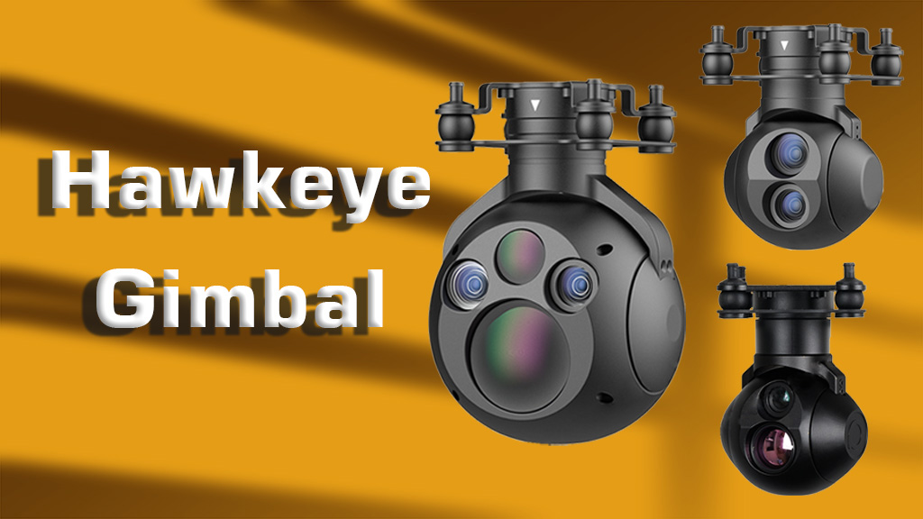 yellow hawkeye - MotioNew - 65