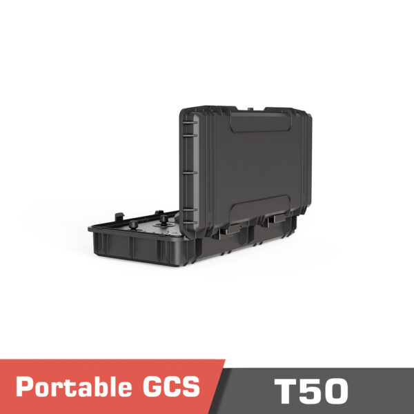 T50 temp. 4 - t50 gcs - motionew - 6