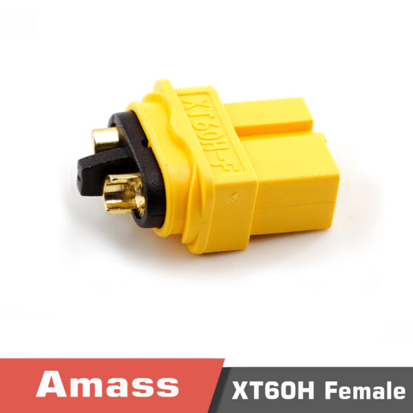 Xt60h femalez - amass xt60h - motionew - 29