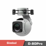 D 80pro. Temp. 2 - d-80pro 40x-4k spherical pod - motionew - 6