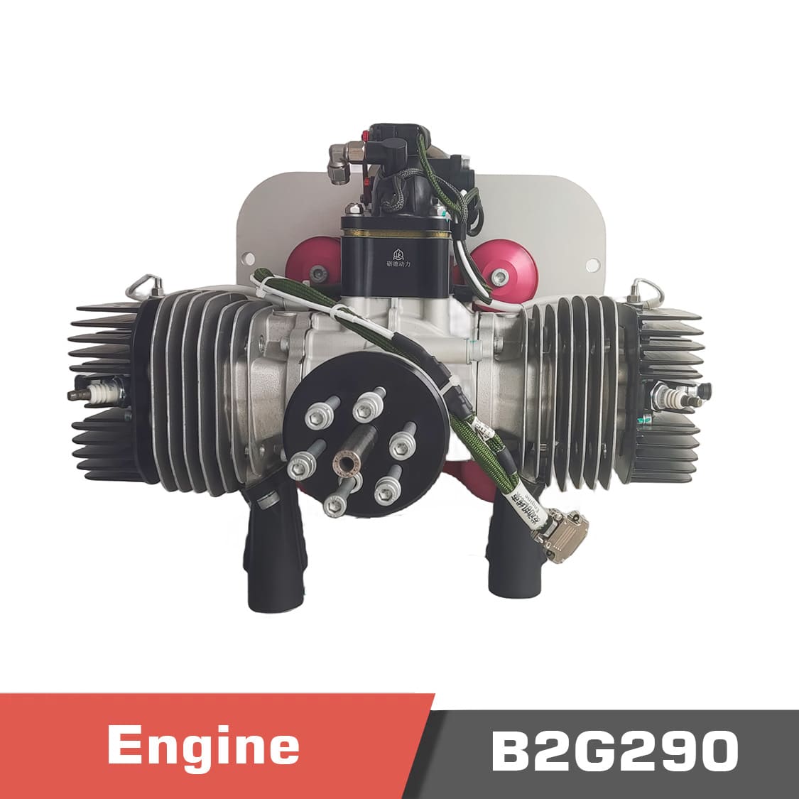 B2g290. Temp. 2 - motionew - 1